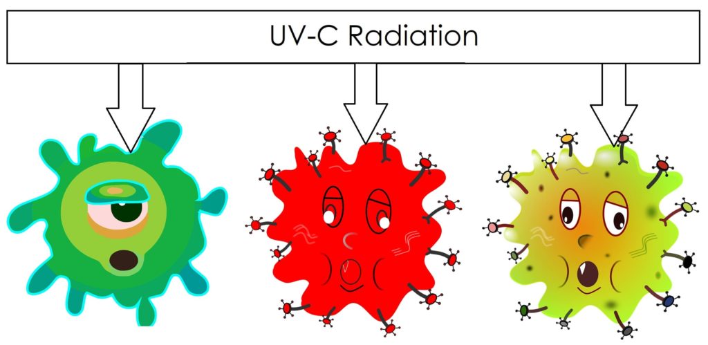 UV-C radiation vs bacter, viruses and germs