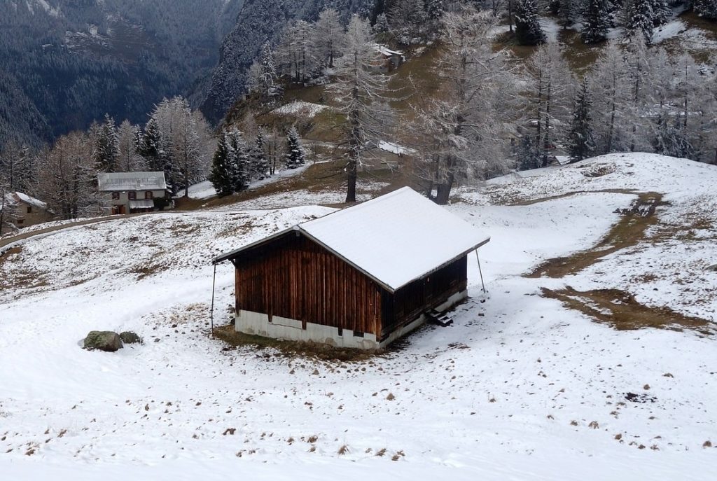 wood shed - prefab firewood storage » north country sheds